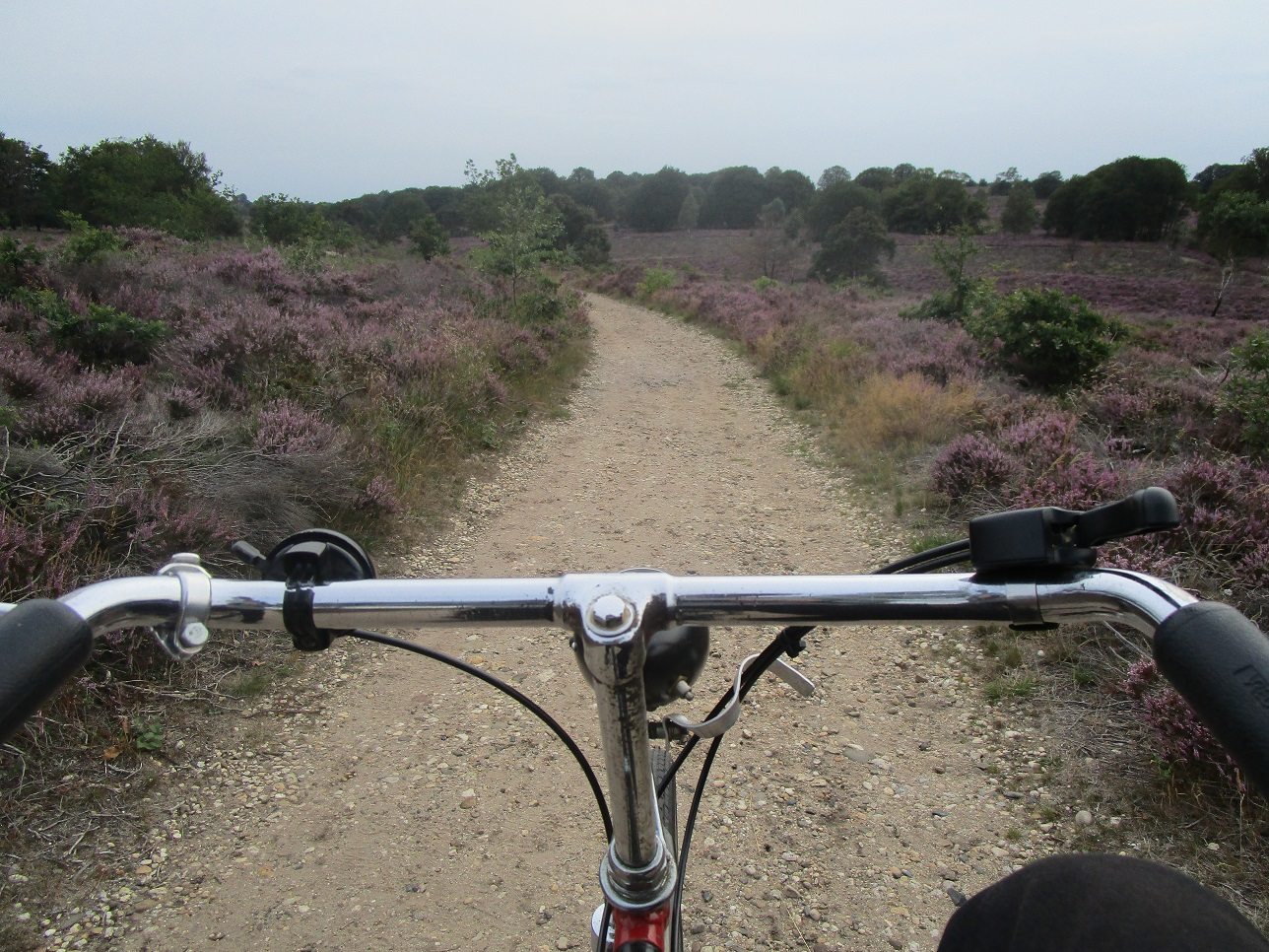 Fongers 1967 onboard, WtC 2019 S.jpg