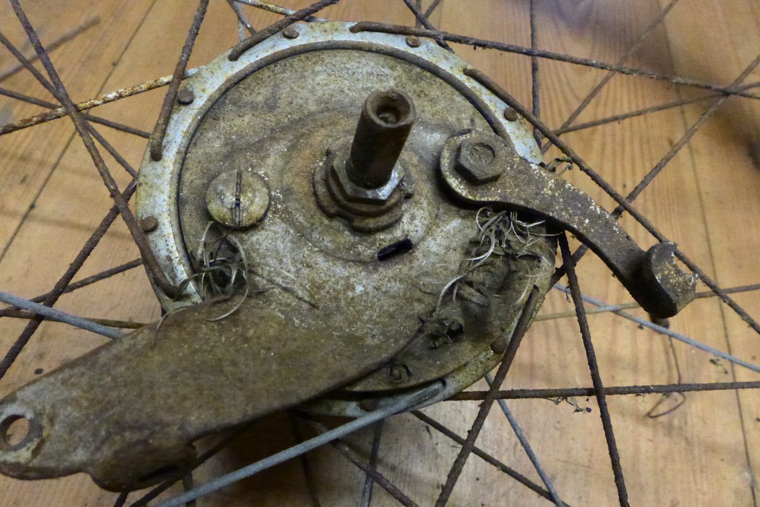 struiken in het achterwiel.JPG