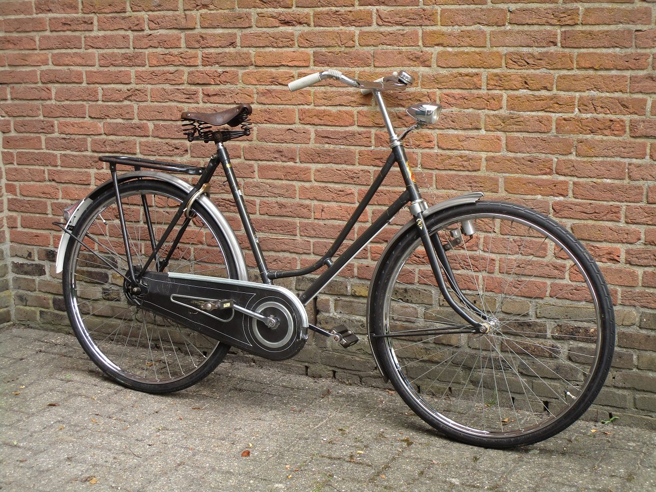 Fongers Elegant, WtC 2024 S.jpg