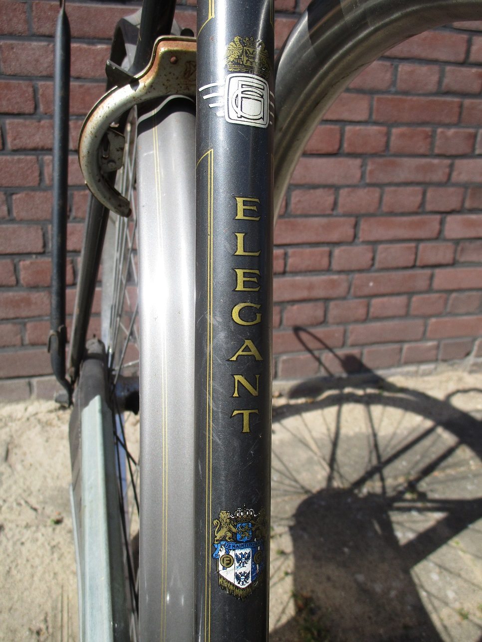 Fongers Elegant, WtC 2021 S.jpg