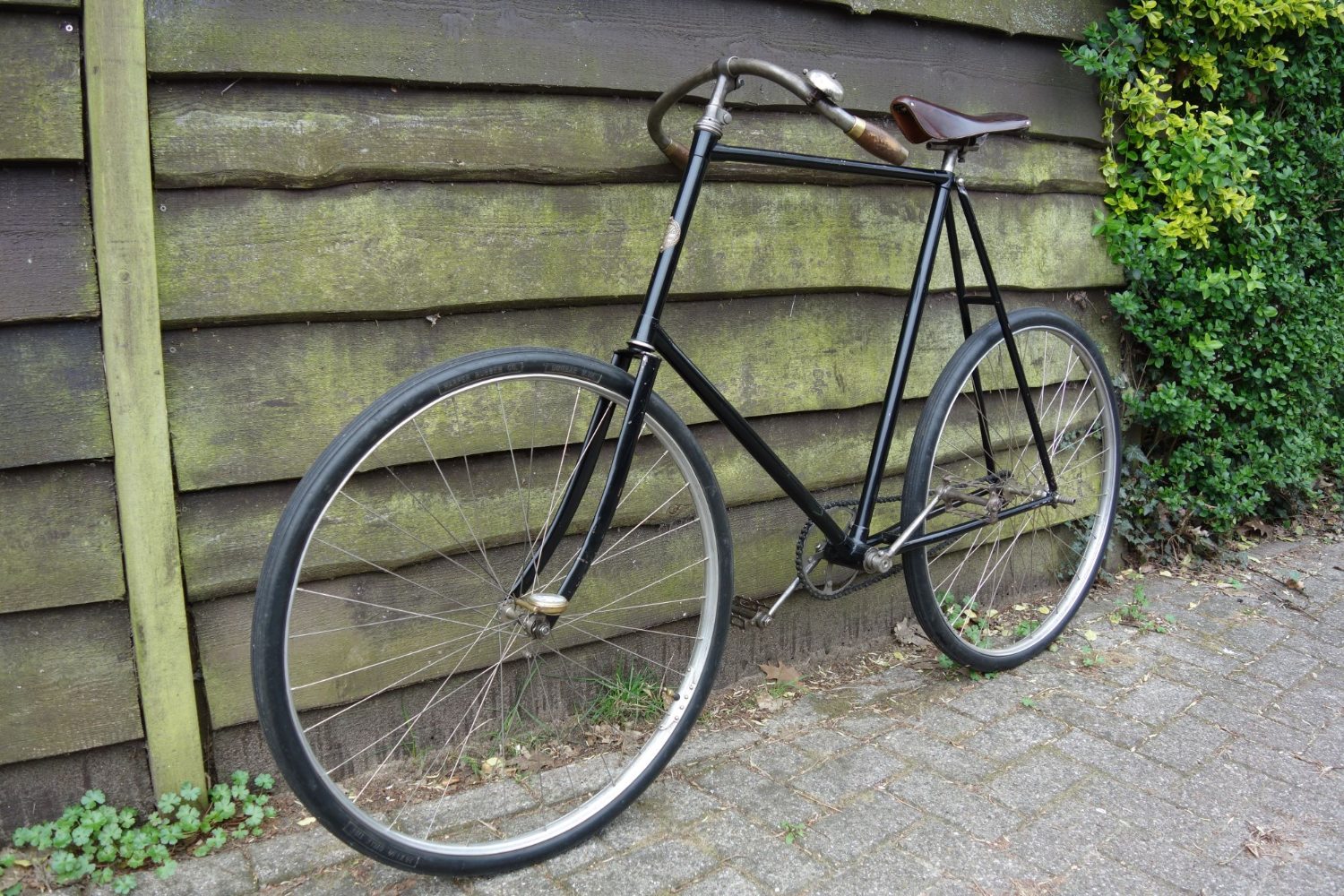 Eagle kleine afbeelding.JPG