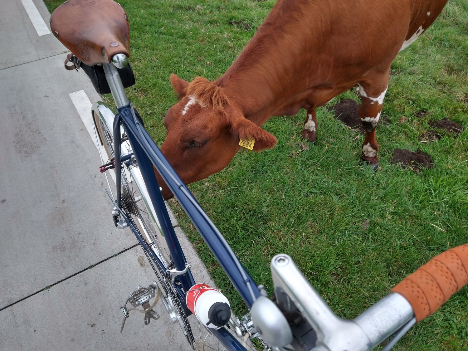 acht kransjes met 9-speed spacing.jpg