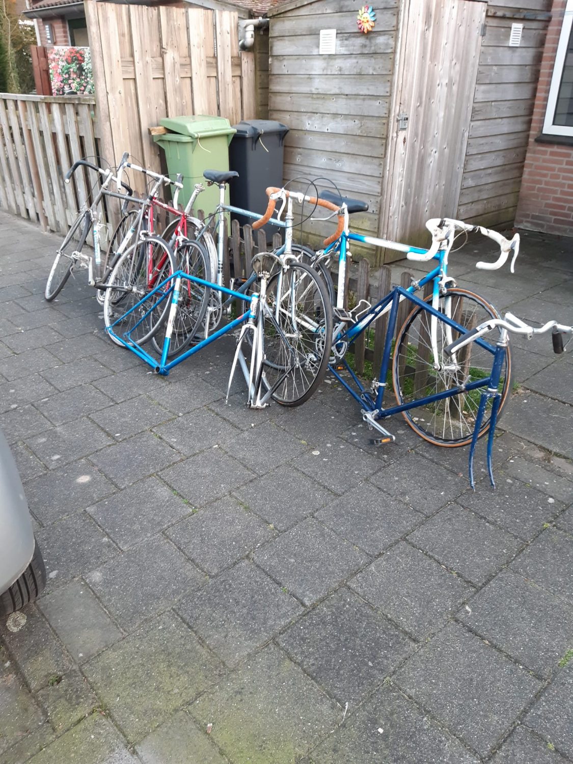 5 maart hamsterweken.jpg