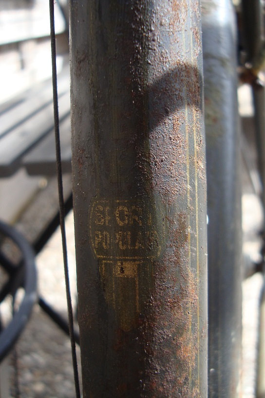 gazelle dames 1 003.jpg