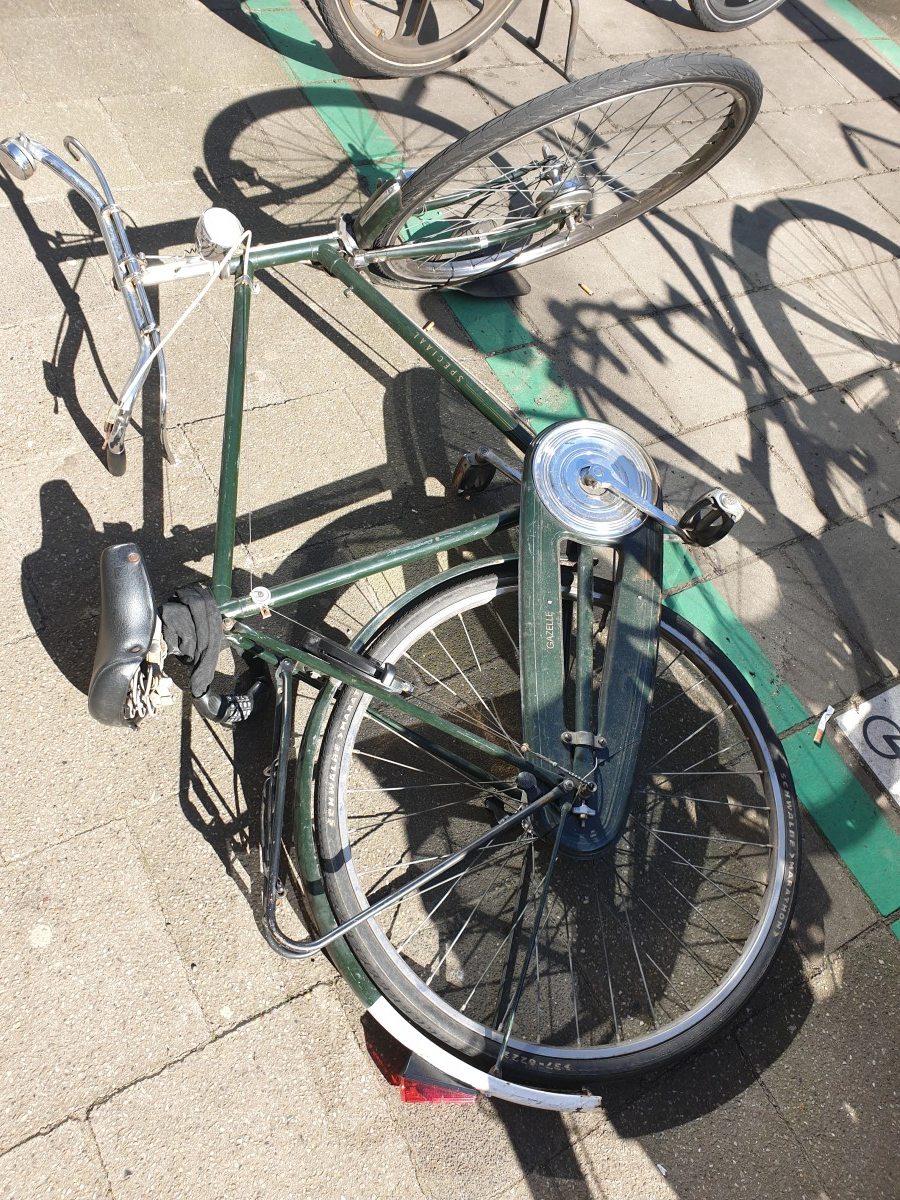 Gazelle speciaal_20250319_105252_D.jpg