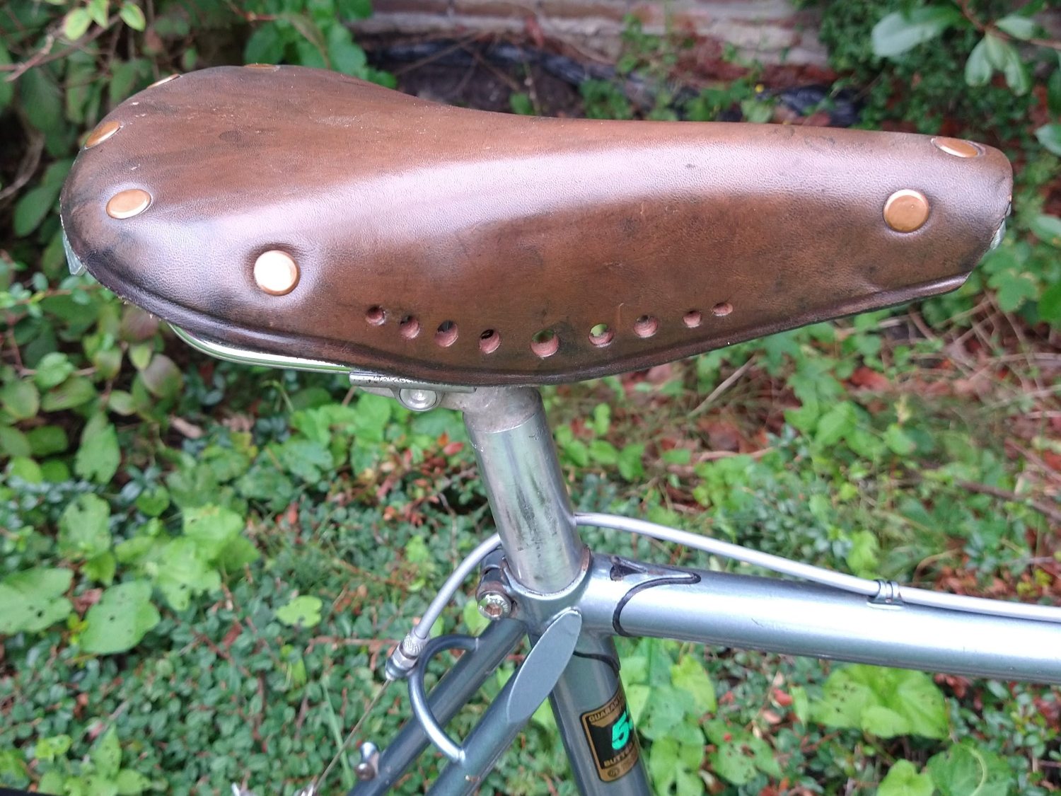 Onbekend zadel 2.jpg