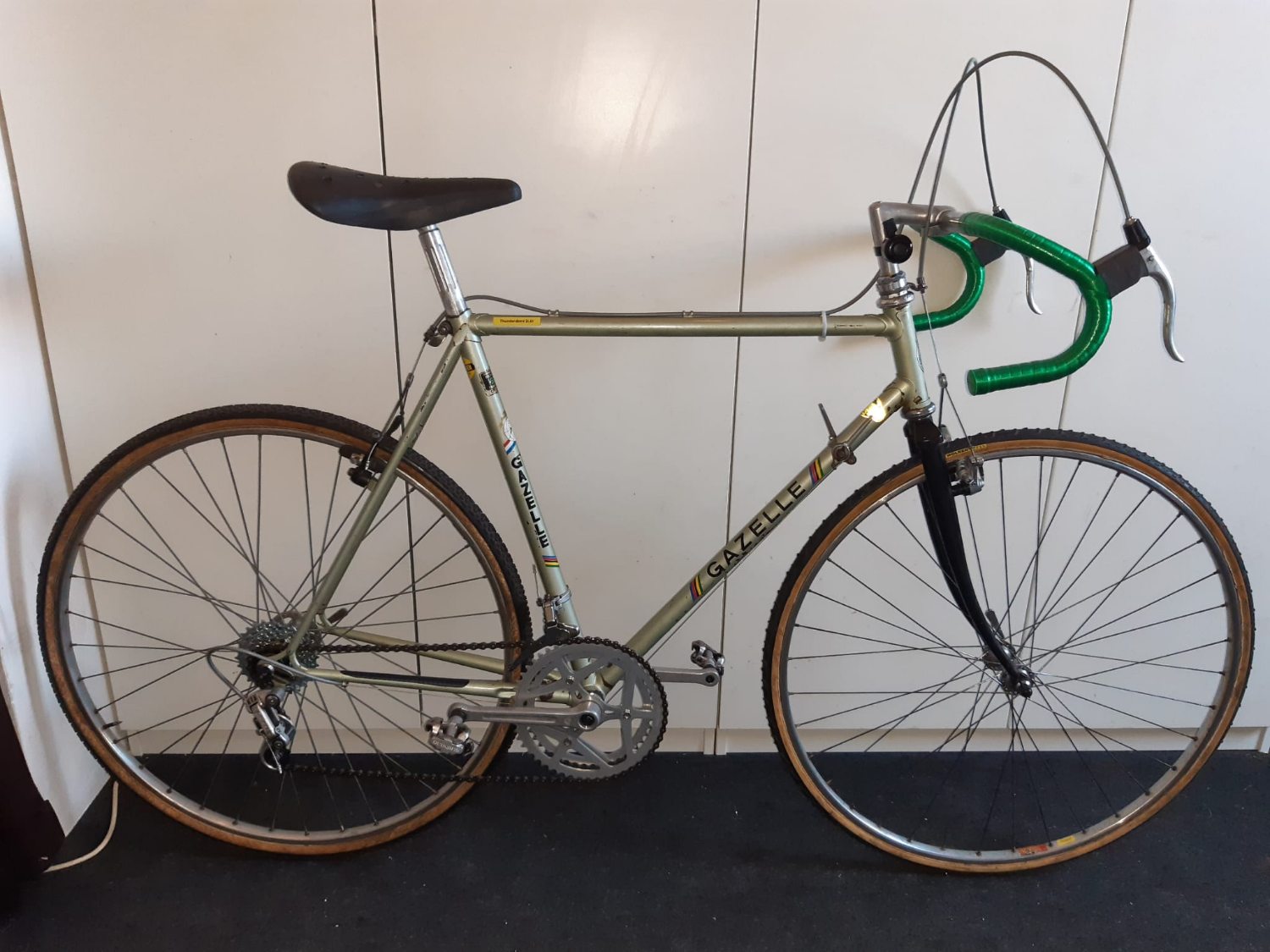 gazelle cross thunderbord 2.jpg