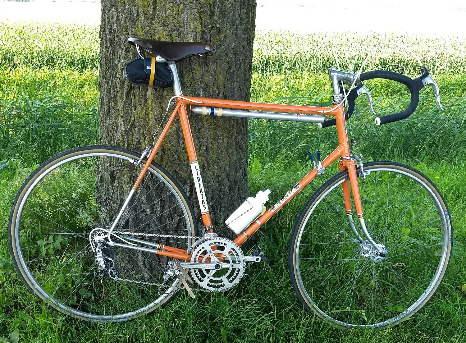 Mann-Libertas verbeterd.jpg