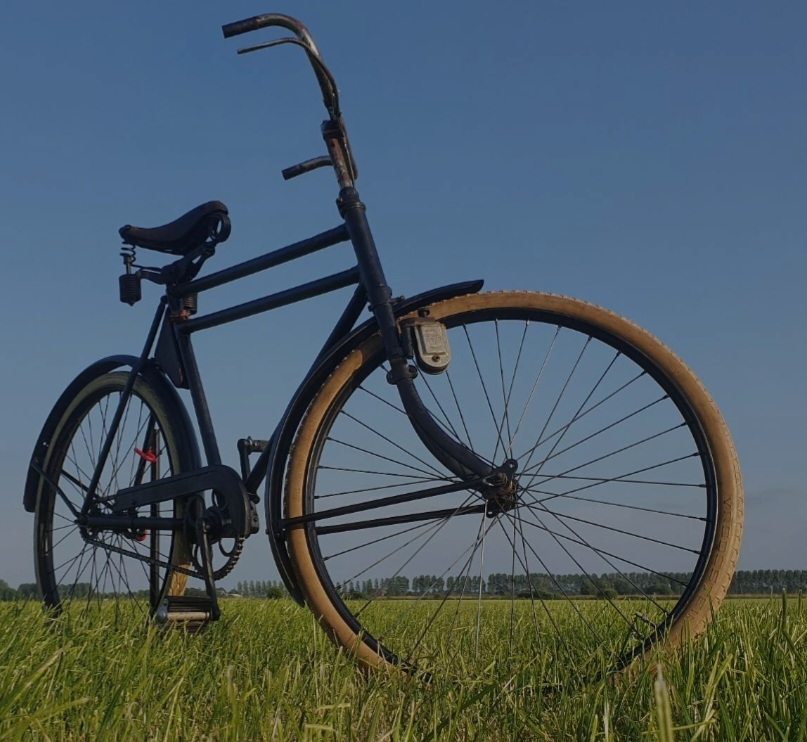 Screenshot_20250501_131429_Samsung Internet.jpg