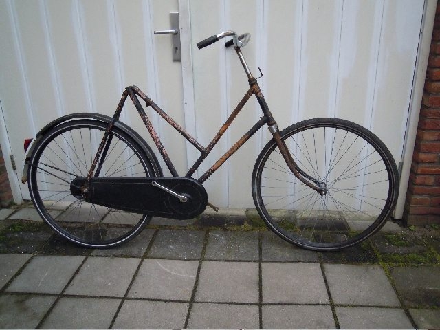 AA PhoenixHalfKrfr.JPG