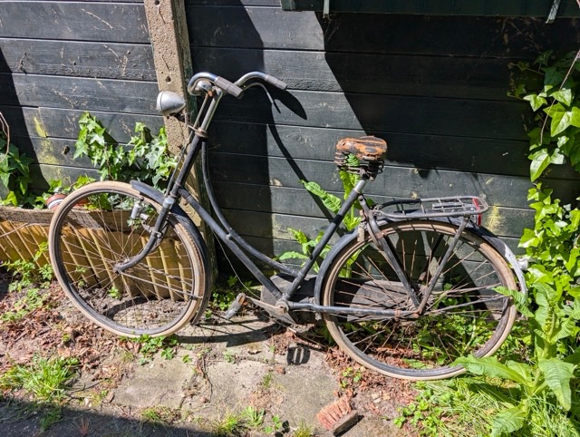 PXL_20250505_114211131.MP Medium.jpeg