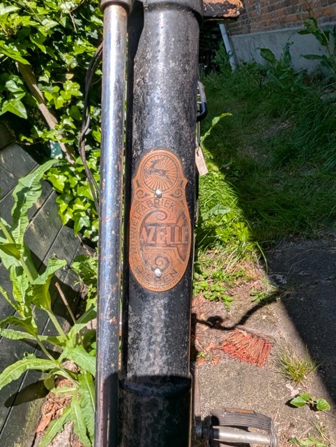 PXL_20250505_114230412.MP Medium.jpeg