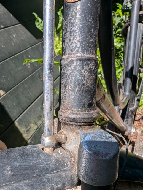 PXL_20250505_114233984 Medium.jpeg