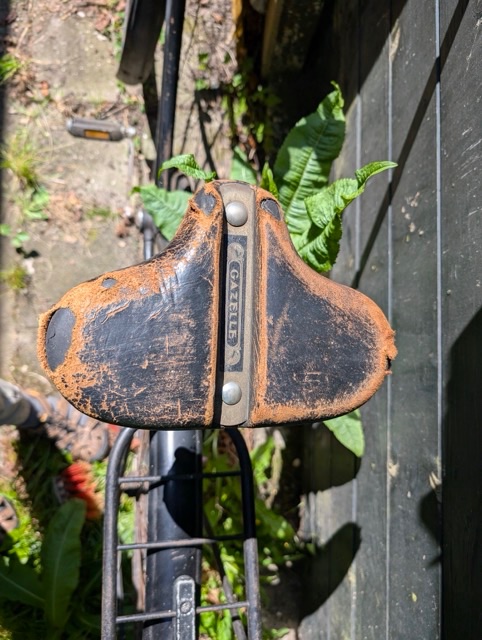 PXL_20250505_114302958 Medium.jpeg