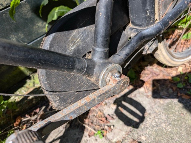 PXL_20250505_114310236 Medium.jpeg