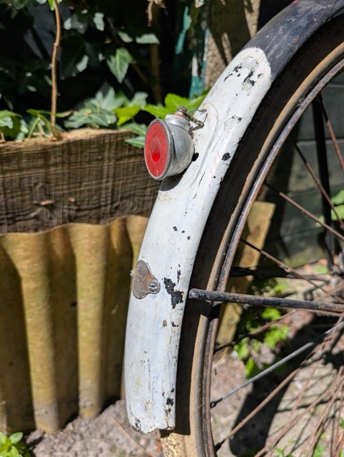 PXL_20250505_114336654 Medium.jpeg