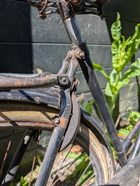 PXL_20250505_114341053 Medium.jpeg