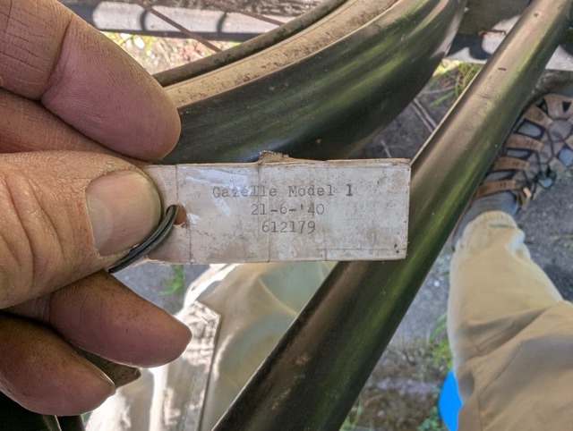 original_d7868c64-321d-4dbc-9c41-1e53f7e1695d_PXL_20250505_114410734 Medium.jpeg