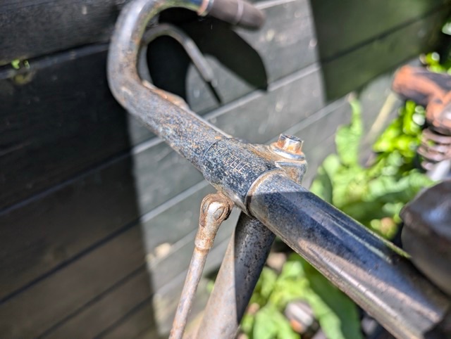 PXL_20250505_114259728 Medium.jpeg