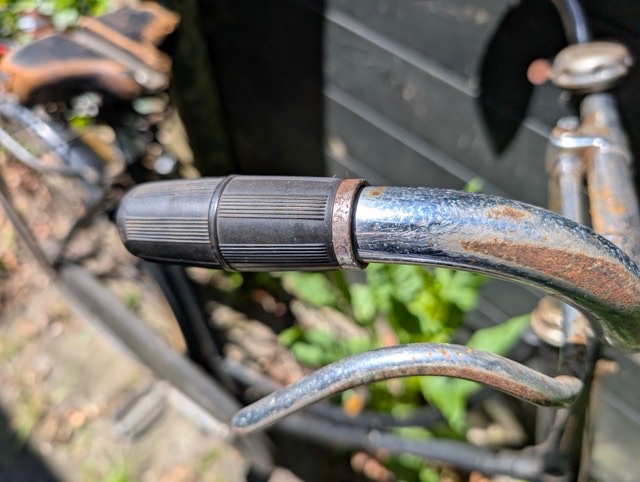 PXL_20250505_114356782 Medium.jpeg