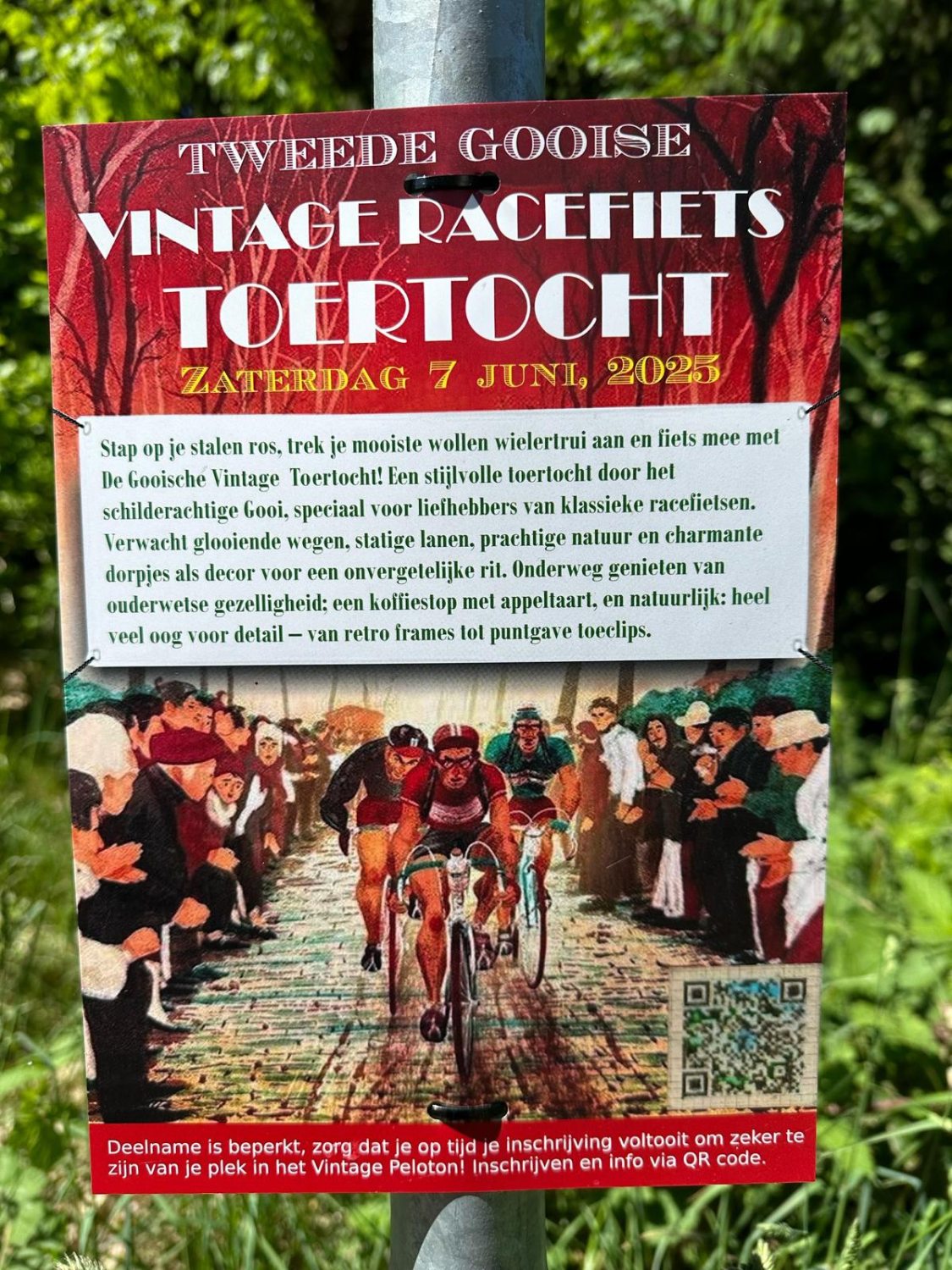 2025.06.07 vintage race tourtocht Gooi.jpeg