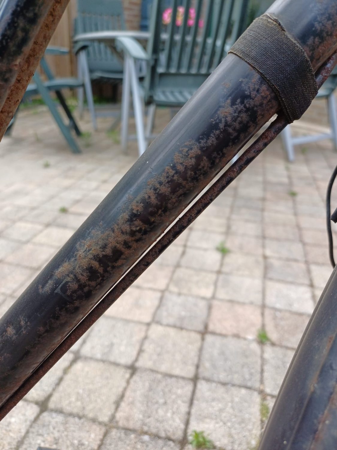 WhatsApp Image 2025-05-27 at 18.55.14(7).jpeg