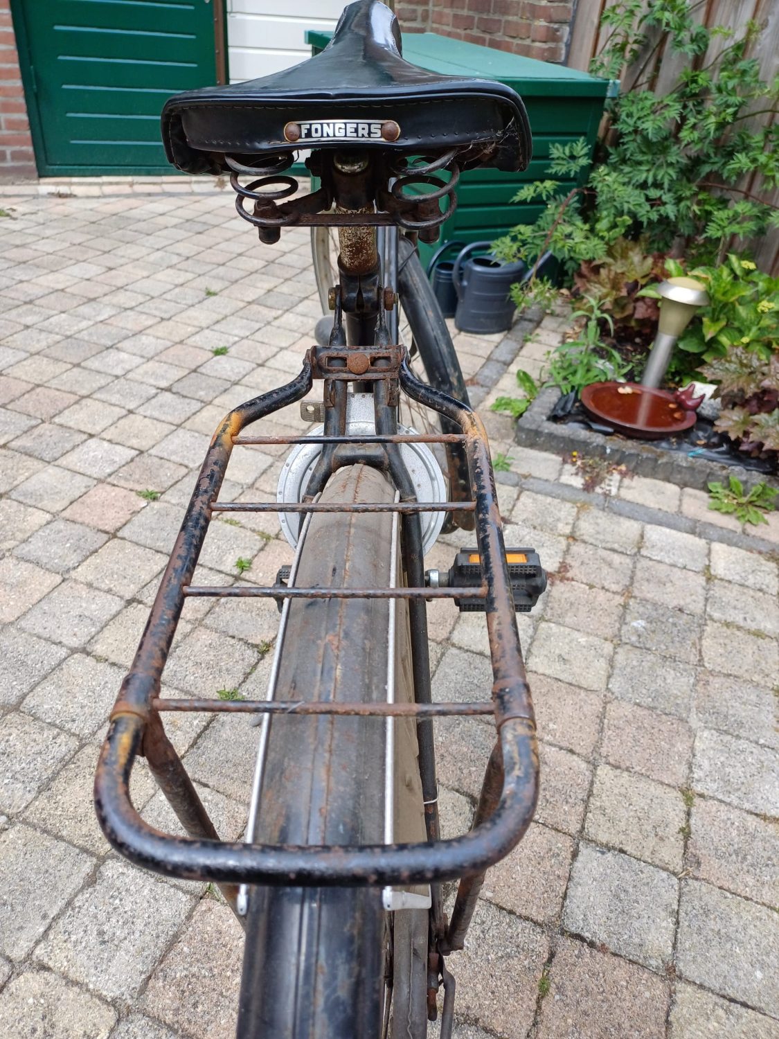 WhatsApp Image 2025-05-27 at 18.55.13(1).jpeg