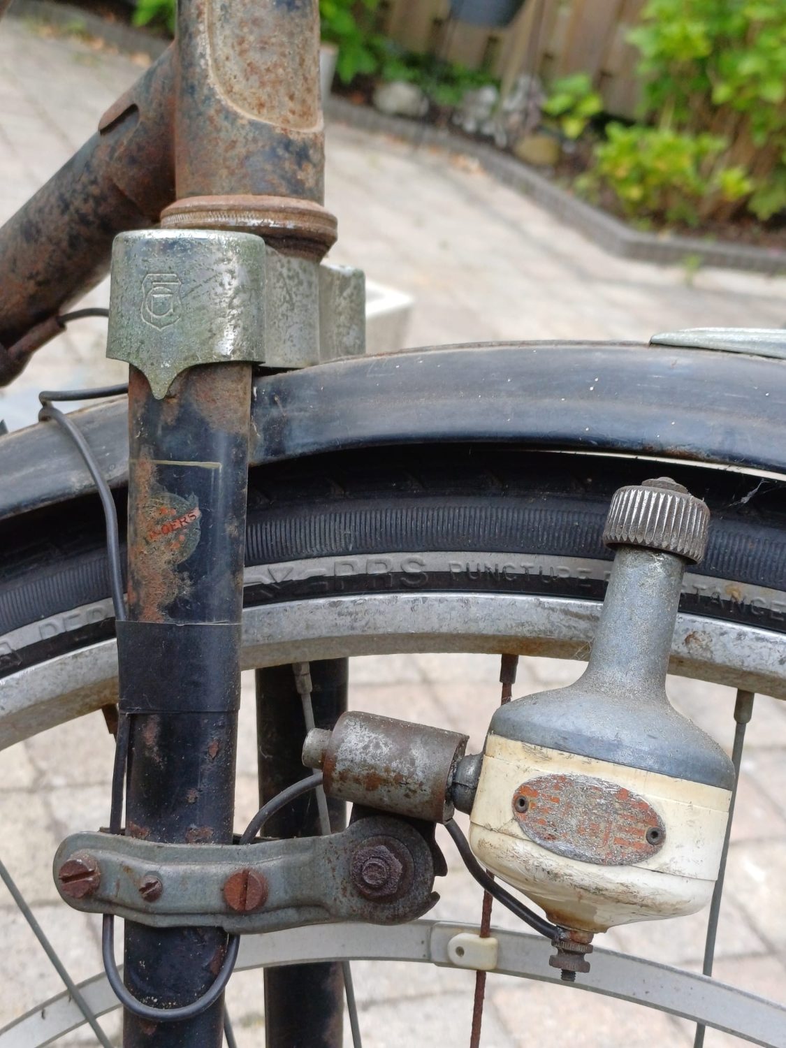 WhatsApp Image 2025-05-27 at 18.55.10(1).jpeg