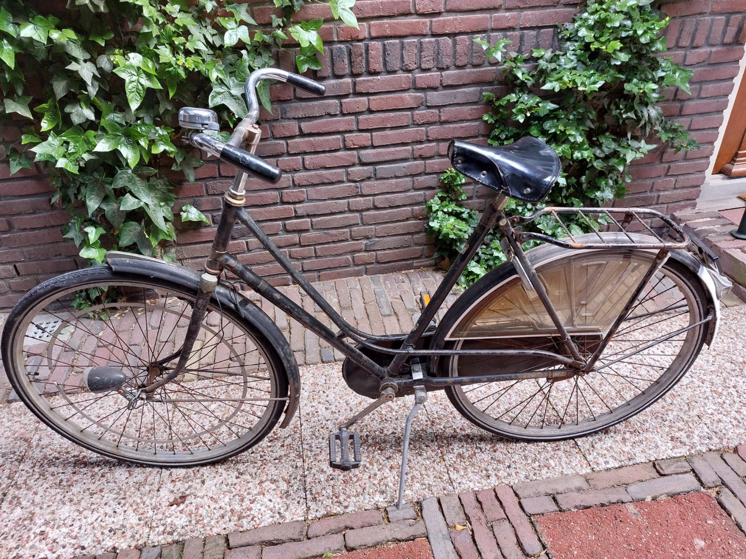 WhatsApp Image 2025-05-27 at 18.55.15(1).jpeg