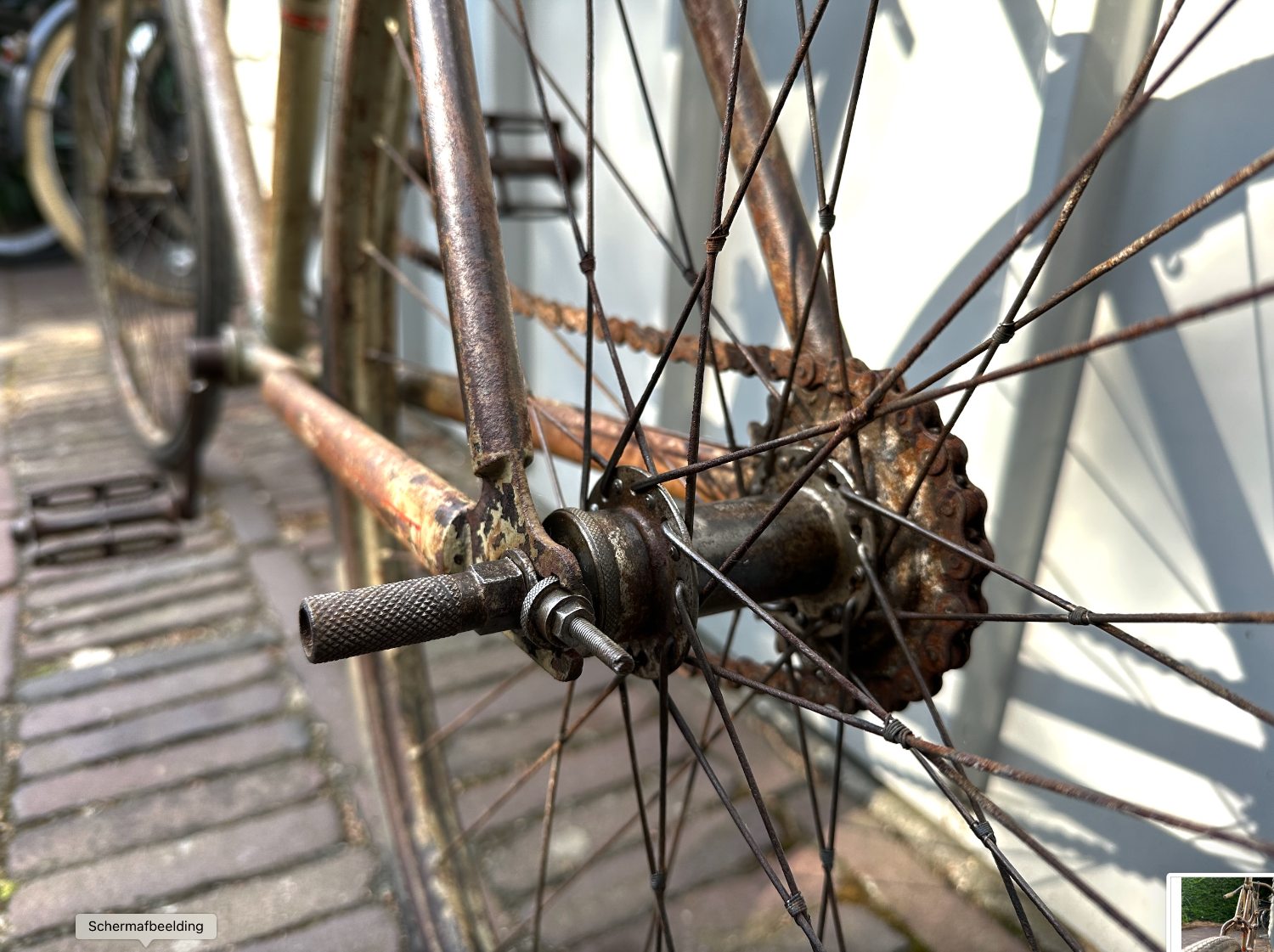 1908 Terrot Course.1.jpeg