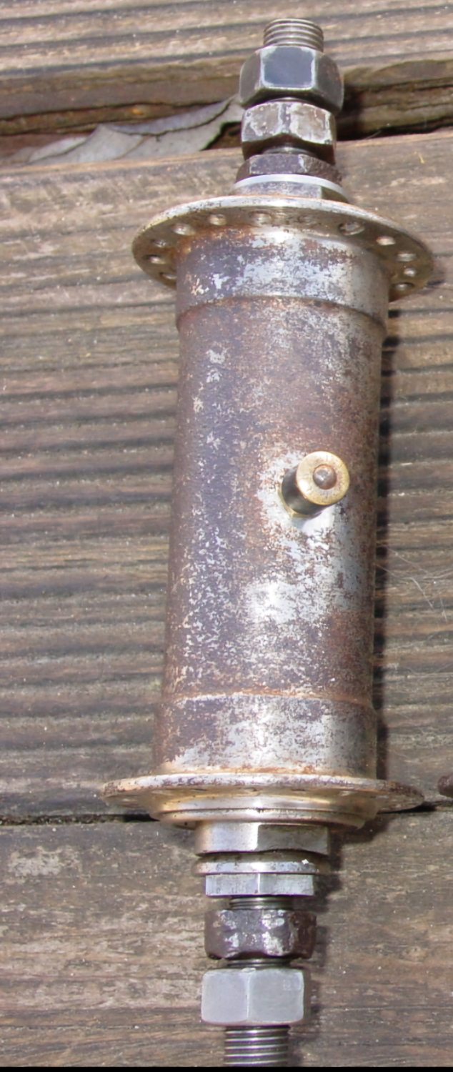 Victoria Nürnberg.jpg