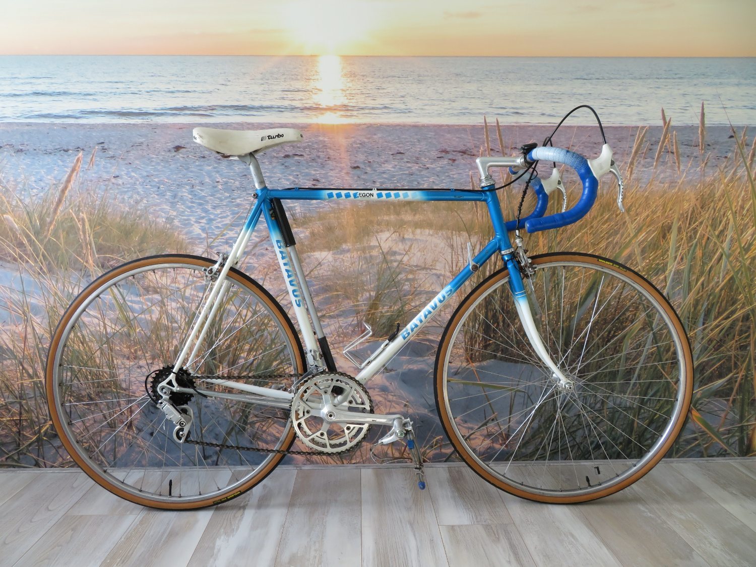 1988 Aegon KNSB Professional van schaatscoach Bleeker