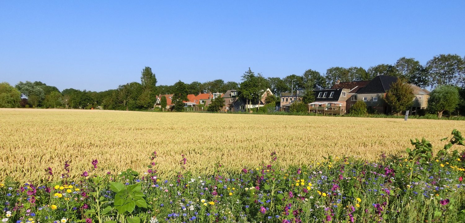 Kenmerkende dijkhuisjes