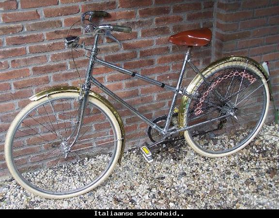 Italiaanse schoonheid..