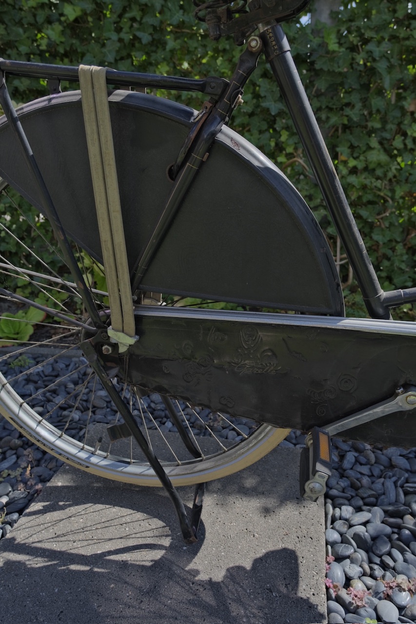 Gazelle tekt kettingkast