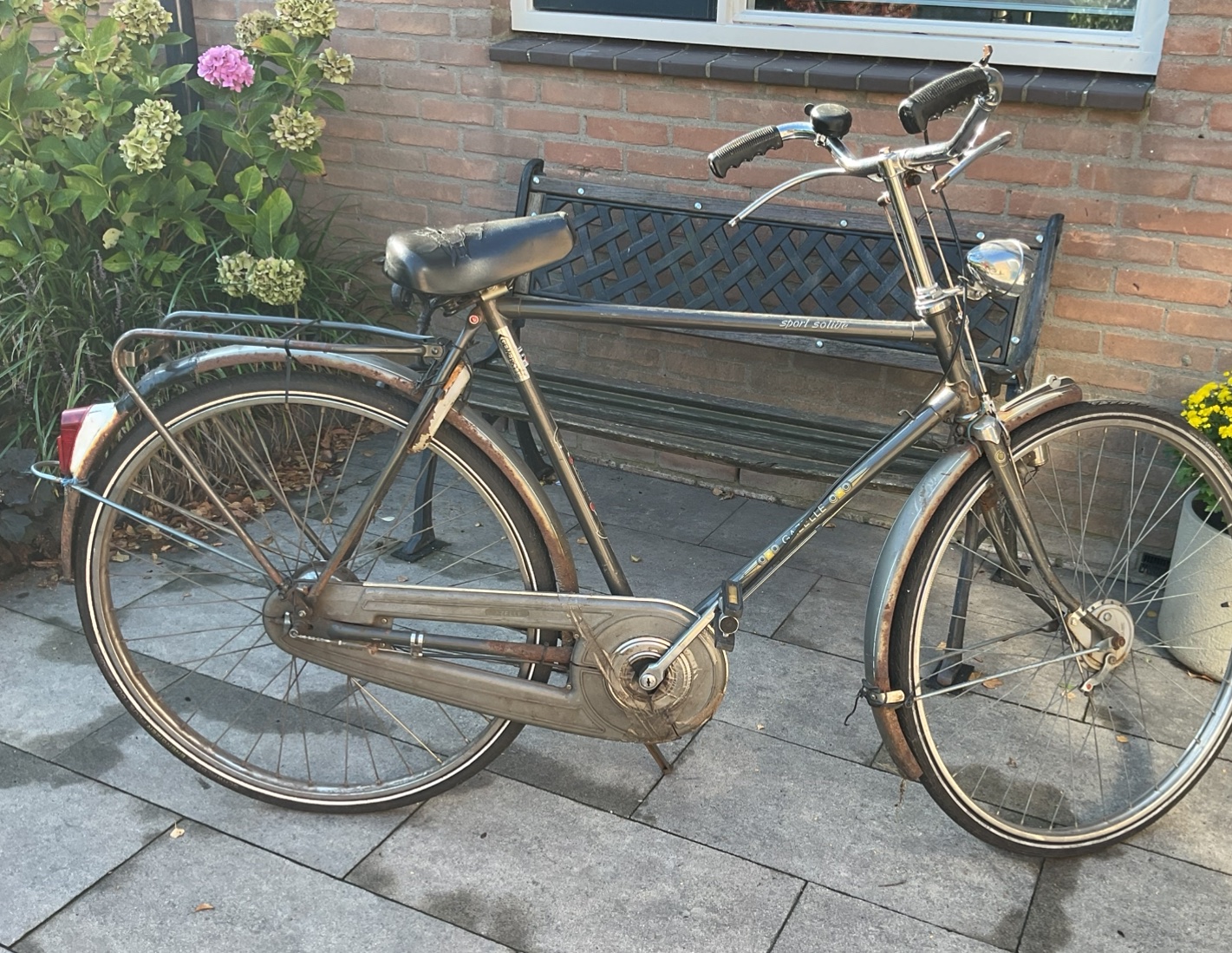 Gazelle Sport Solide