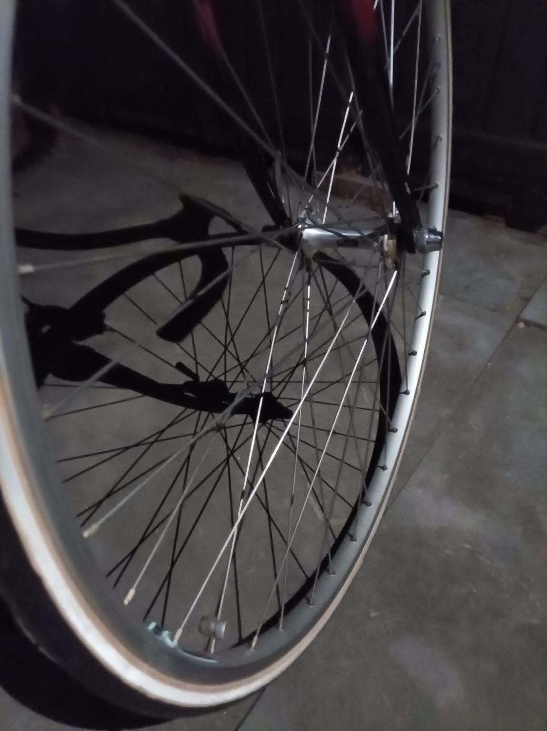 PHOTO-2025-09-06-21-58-04 (1).jpg