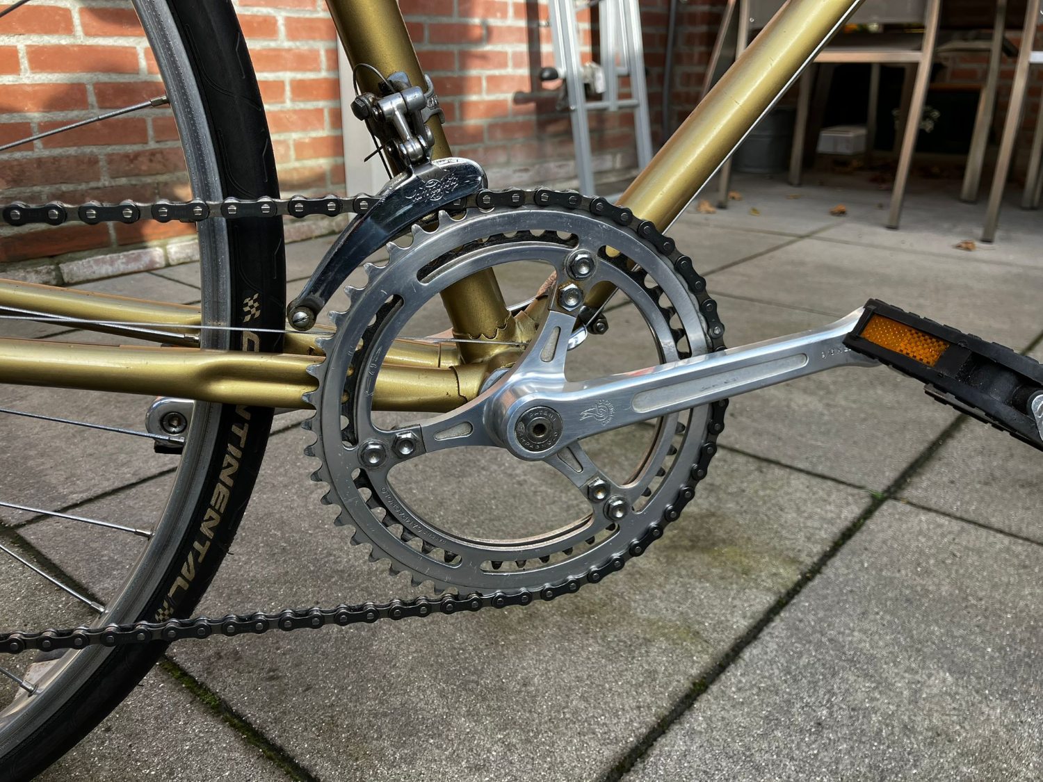 Vittorio Donna 5.jpeg