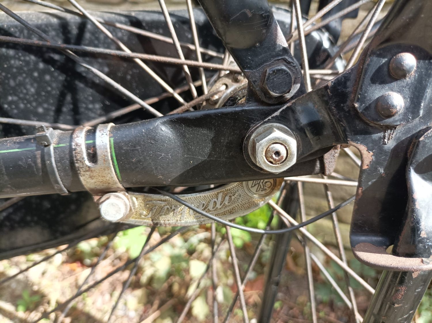 PHOTO-2025-09-22-18-34-40 (3).jpg