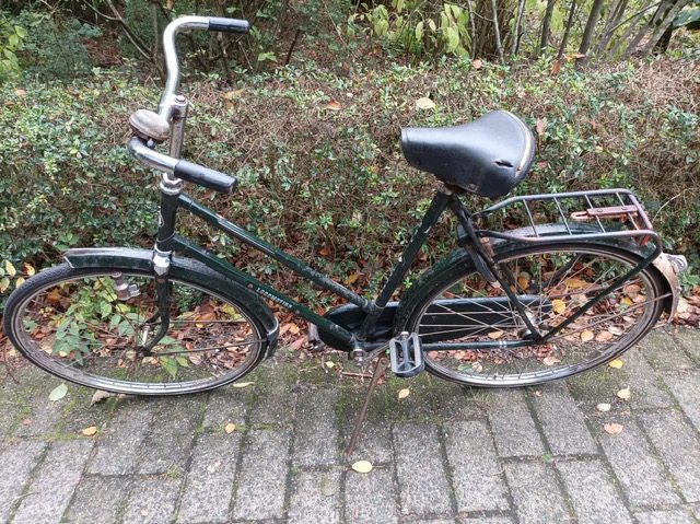 PHOTO-2025-10-08-19-12-45 (6).jpg