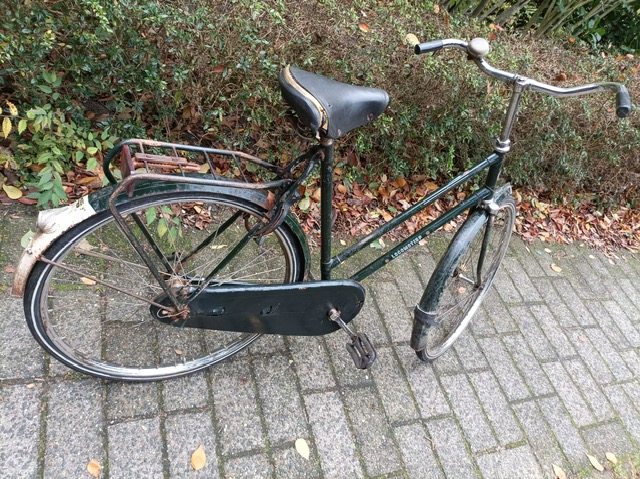 PHOTO-2025-10-08-19-12-45 (5).jpg