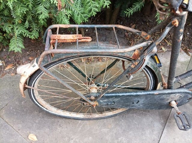 PHOTO-2025-10-08-19-12-45 (4).jpg