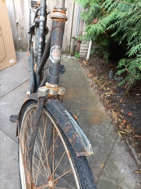 PHOTO-2025-10-08-19-12-45 (3).jpg