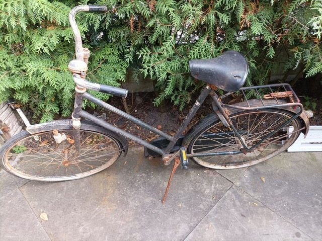 PHOTO-2025-10-08-19-12-45 (2).jpg