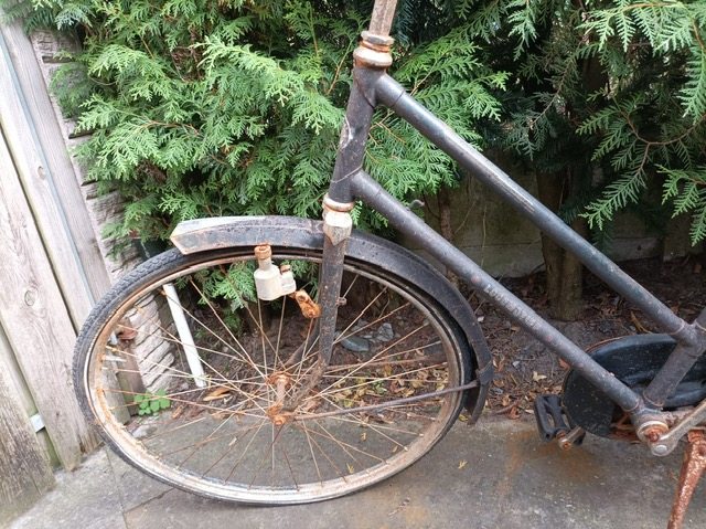 PHOTO-2025-10-08-19-12-45 (1).jpg