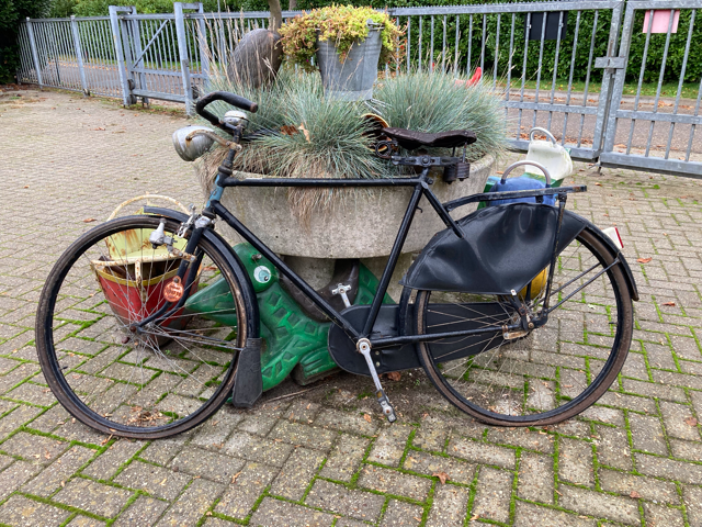 IMG_8542 normaal.png