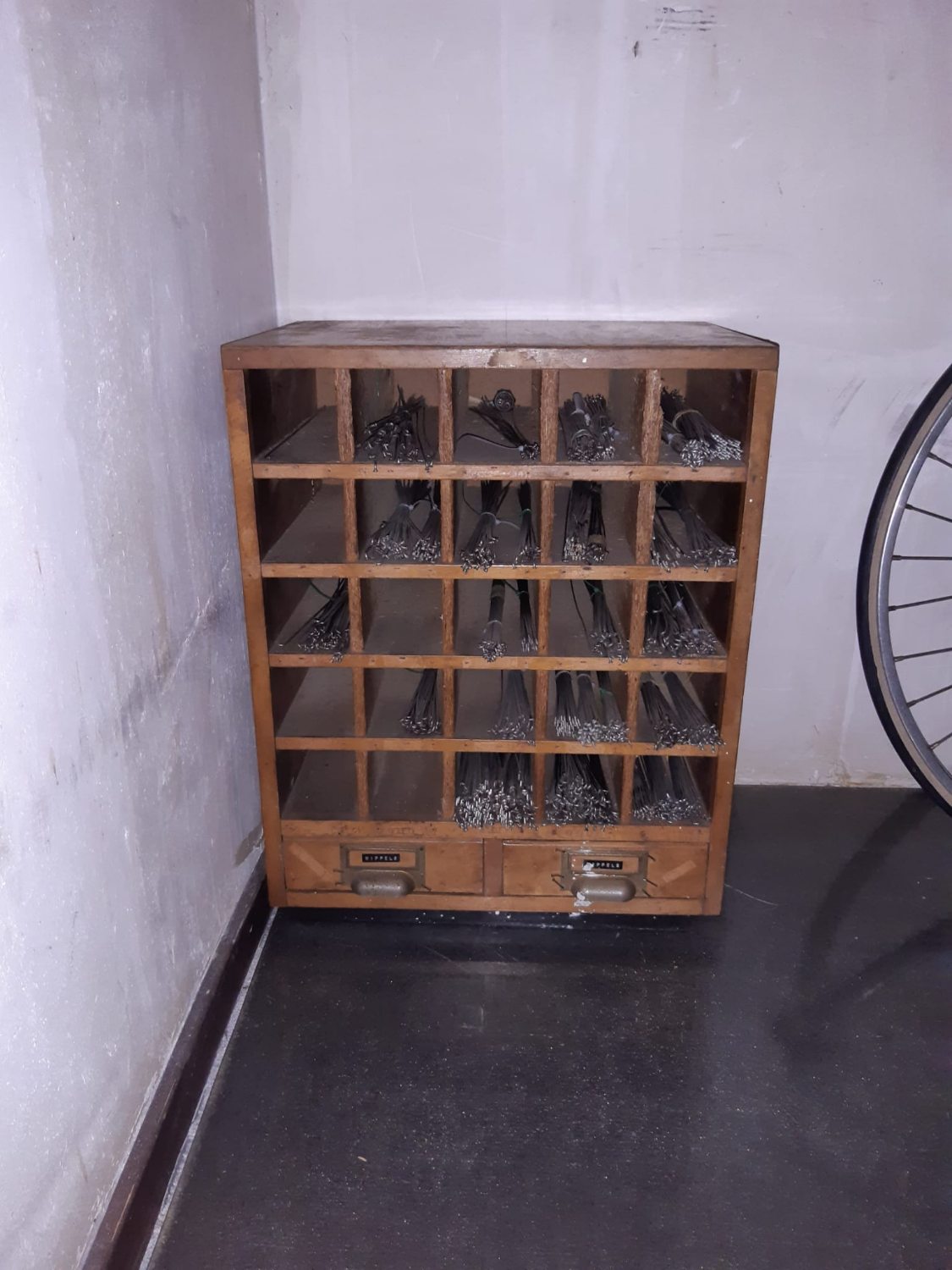 WhatsApp Image 2025-11-12 at 17.24.34.jpeg