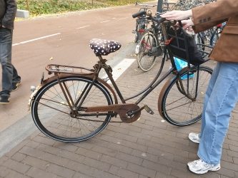 gazelle dames oud_20251109_131602_D.jpg