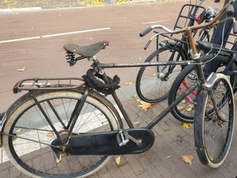 gazelle heren oud_20251109_131524_D.jpg