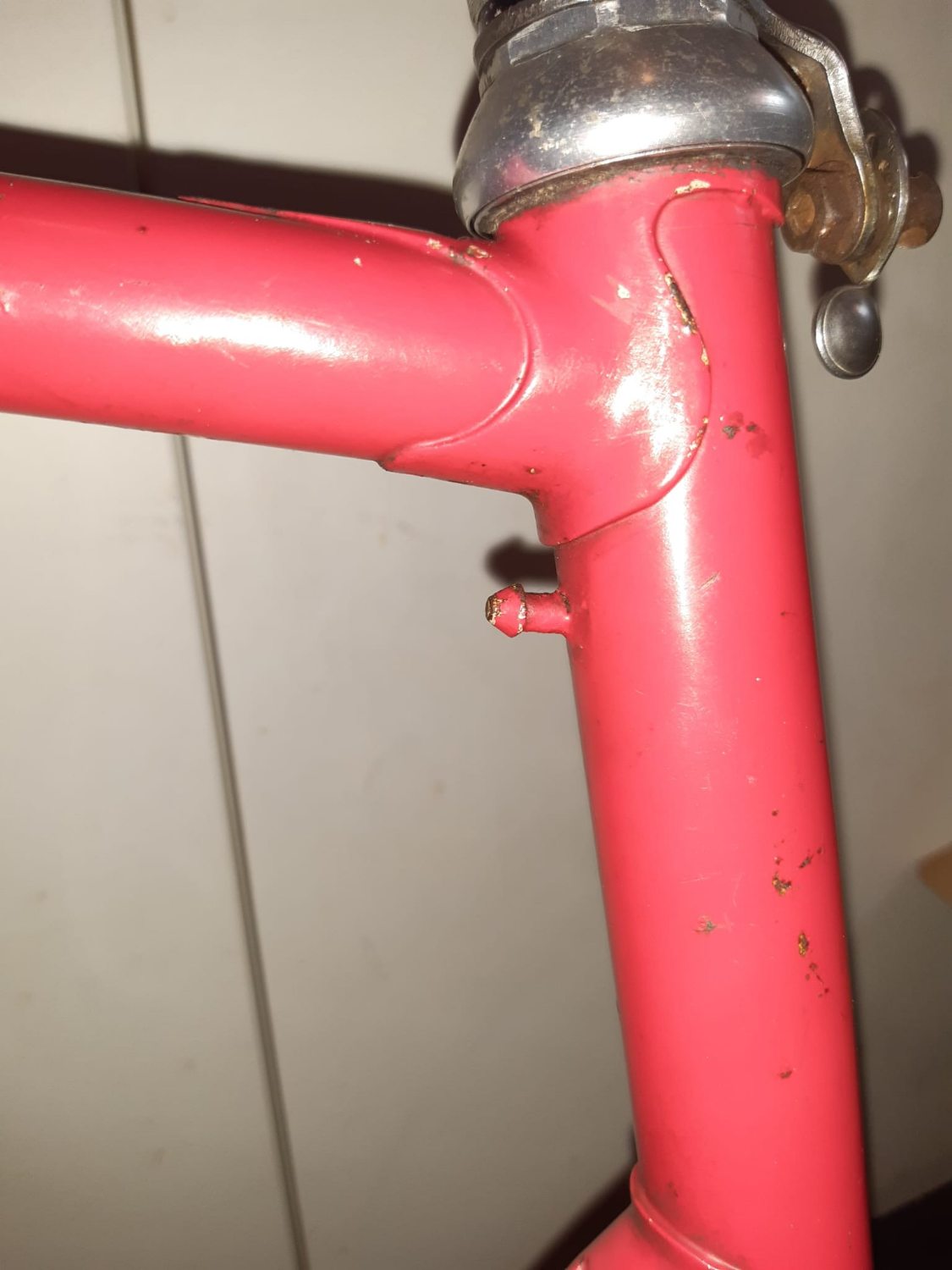 gazelle randonneur 04.jpg